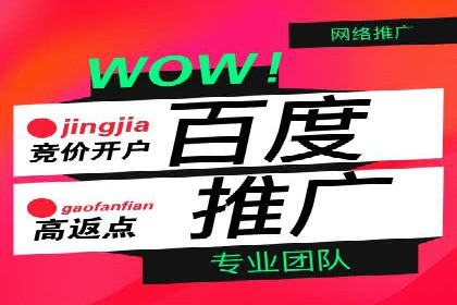 SEM运营公司案例：打造爆款广告策略